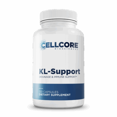 KL-Support