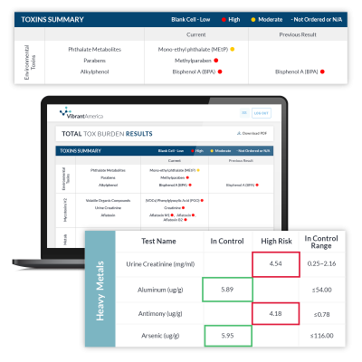 Total Toxin Burden Test Kit + Practitioner Interpretation